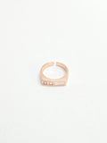 Prism Edge Ring
